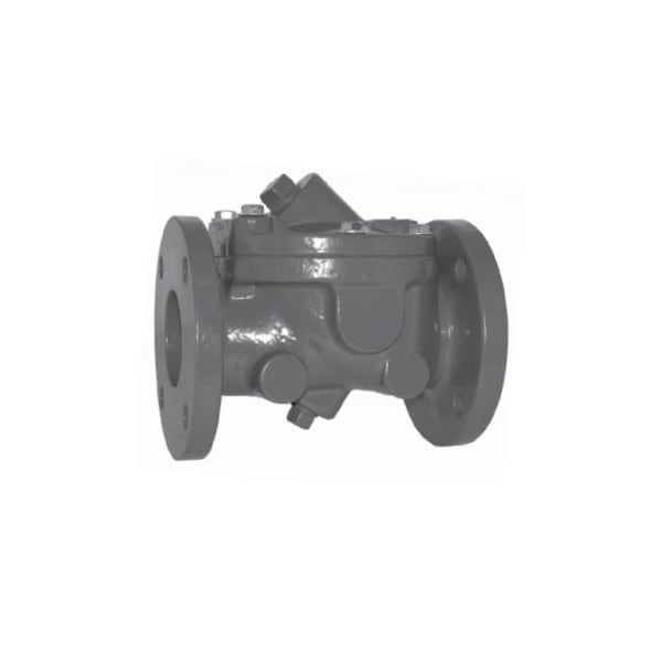 4 in. Flanged Ductile Iron Check Valve
